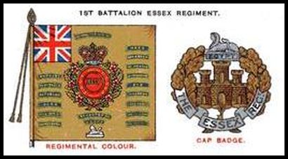 36 1st Bn. The Essex Regiment